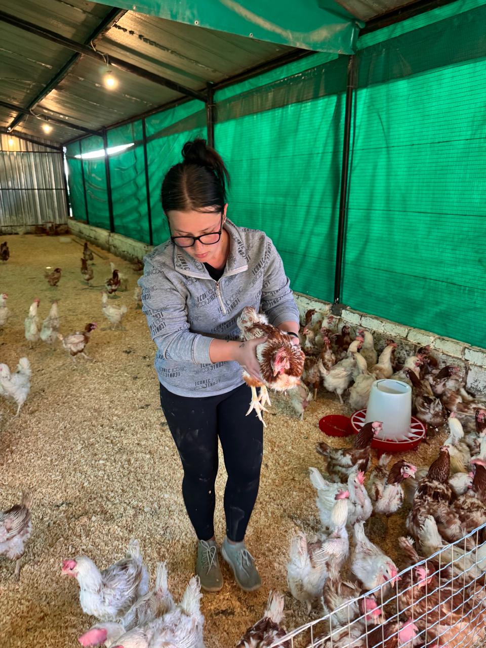 Team member handling a chicken at Ubuntu Harvest Africa